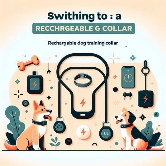 5 Reasons to Switch to a Rechargeable Dog Training Collar (Guide 10)